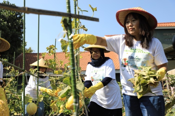 BRI Urban Farming