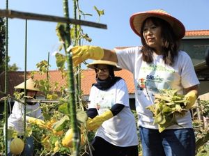 BRI Dukung Pemberdayaan Wanita Lewat Program Urban Farming