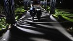 Gemerlap Cahaya Natal di Kew Gardens London