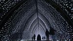 Gemerlap Cahaya Natal di Kew Gardens London