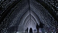 Menyambut perayaan Natal, Royal Botanic Gardens London kembali menyajikan pertunjukan instalasi cahaya. 
