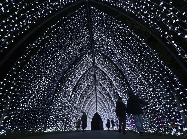 Gemerlap Cahaya Natal di Kew Gardens London