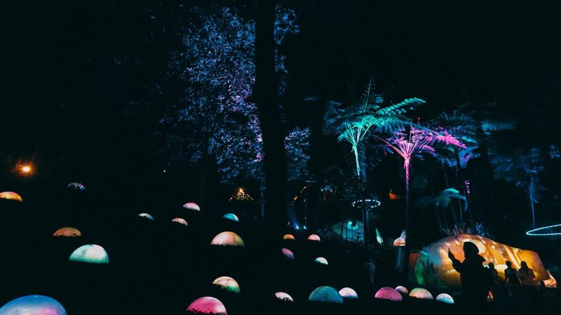 Hutan Mycelia, salah satu tempat wisata di kawasan Terminal Wisata Grafika Cikole, Lembang.