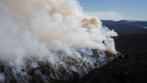 Kebakaran Hutan di New Jersey AS Meluas