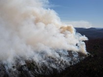 Kebakaran Hutan di New Jersey AS Meluas