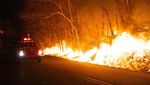 Kebakaran Hutan di New Jersey AS Meluas
