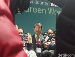 Hashim Ungkap Rencana Besar Prabowo Hijaukan 12 Juta Ha Hutan RI