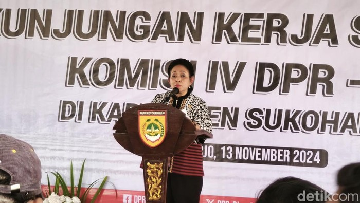 Ketua Komisi IV DPR RI Titiek Soeharto, saat menemui petani di Desa Mojorejo, Kecamatan Bendosari, Kabupaten Sukoharjo, Rabu (13/11/2024).