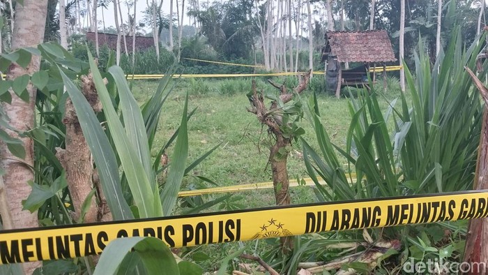 Lokasi penemuan jenazah siswi MI di Banyuwangi