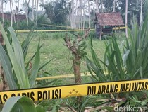 Bocah 7 Tahun Tewas Mengenaskan di Kebun Banyuwangi, Diduga Diperkosa