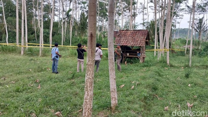 Lokasi penemuan jenazah siswi MI di Banyuwangi