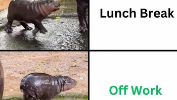 Siapa yang kesehariannya begini... Foto: Boredpanda