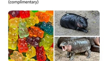 Ketika Moo Dengn disamakan dengan gummy bear.. Foto: Boredpanda