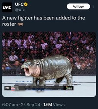 Meme Moo Deng