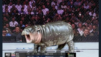 Jadi jawara UFC Champ. Foto: Boredpanda