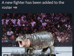 Meme Moo Deng yang Lucu dan Menggemaskan