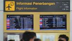Bingkai Sepekan: Jejak Erupsi Gunung Lewotobi Laki-laki