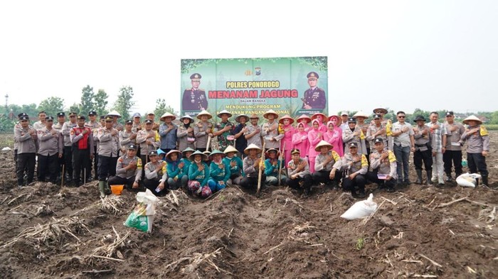 Proses penanaman jagung dan tebar benih ikan