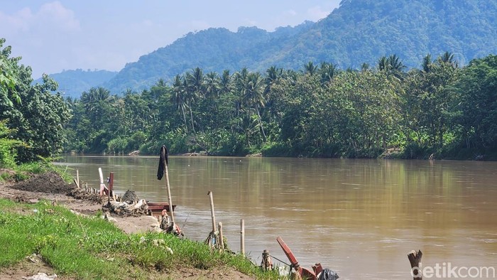 Sungai Cimandiri, lokasi ditemukannya buaya di Sukabumi