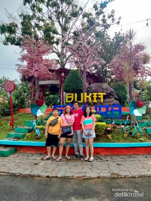 Ini Bukit Sakura di Lampung