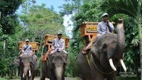 Gajah dan para tamunya.