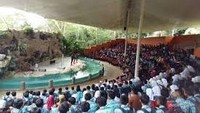 Aktraksi hewan di Lembah Hijau.