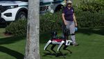 Wujud Robot Anjing yang Dikerahkan Jaga Keamanan Rumah Donald Trump