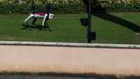 Robot anjing semakin banyak digunakan oleh lembaga penegak hukum di Amerika Serikat untuk membantu keamanan dan keselamatan publik.  