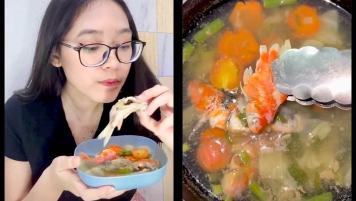 5 Ikan Peliharaan yang Mahal Ini Berakhir Digoreng hingga Dibuat Sop!