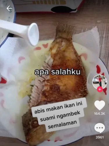 5 Ikan Peliharaan yang Mahal Ini Berakhir Digoreng hingga Dibuat Sop!