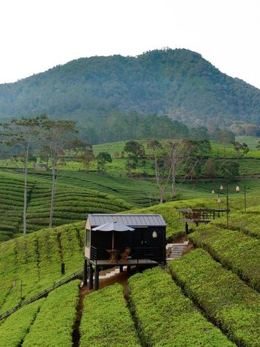 Bobocabin Pangalengan, Bandung