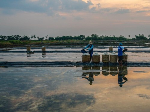 BRI Catat Portofolio Pembiayaan Berkelanjutan Capai Rp764,8 T di Q3-2024