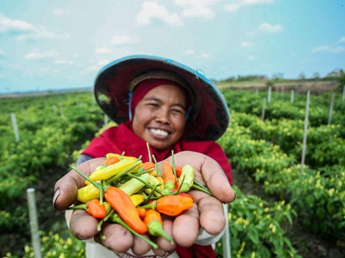 Menuju Ekonomi Hijau, BRI Terapkan Aspek ESG untuk Penyaluran Kredit