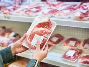 Ada Wabah ASF di RI, Konsumsi Daging Babi Aman? Ini Kata Kepala Barantin