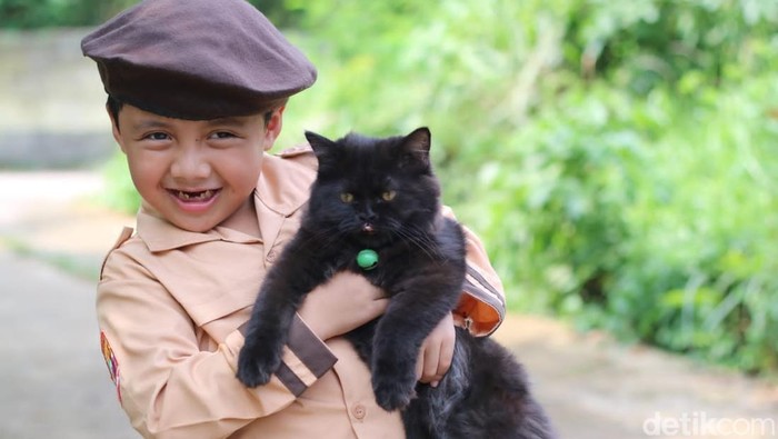 Ilustrasi memelihara kucing di rumah