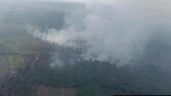 Karhutla yang terjadi di Pangkalan Lampam OKI.