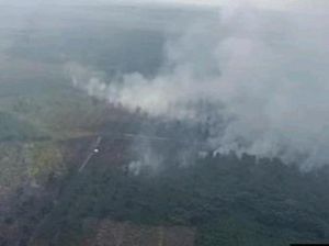 Lahan Rawan Karhutla Sudah Basah, BPBD Kini Siaga Bencana Hidrometeorologi
