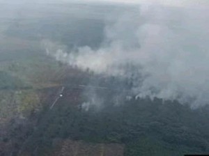 Lahan Rawan Karhutla Sudah Basah, BPBD Kini Siaga Bencana Hidrometeorologi