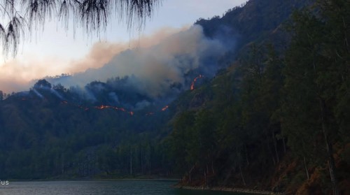 Kebakaran hutan dan lahan (karhutla) terjadi di kawasan Balai Taman Nasional Gunung (BTNG) Rinjani, NTB, pada Rabu (13/11/2024). (Foto: Dok. BNPB)