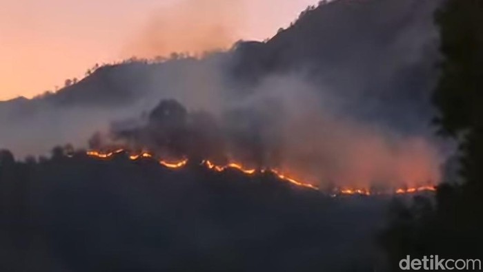 Kebakaran lahan di lereng Gunung Rinjani, Lombok, Rabu (13/12/2024).
