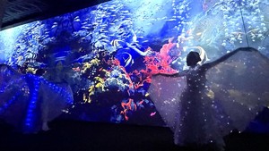 Pameran ini berlangsung pada 13 November 2024-April 2025.   