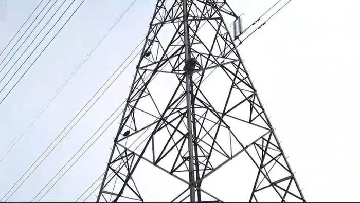 Orang panjat tower SUTET di Bojonggede, Bogor.