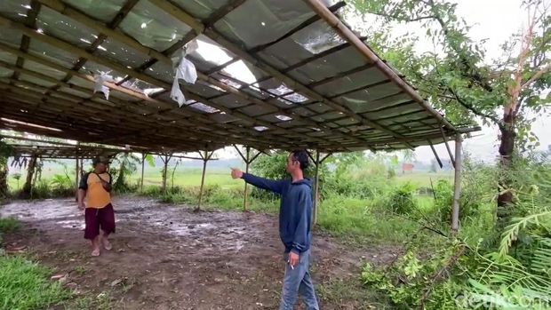 Penampakan area parkir lokasi 6 siswa SMPN 2 Bumiayu Brebes tersambar petir, Kamis (14/11/2024).
