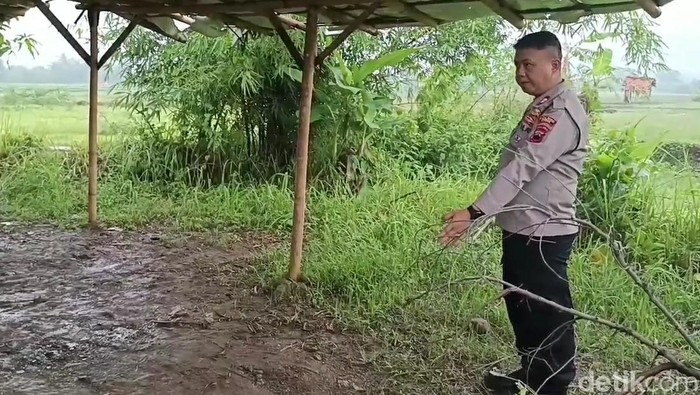 Penampakan area parkir lokasi 6 siswa SMPN 2 Bumiayu Brebes tersambar petir, Kamis (14/11/2024).