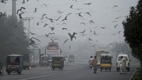 Kualitas udara di Lahore, Pakistan, telah memburuk secara drastis.