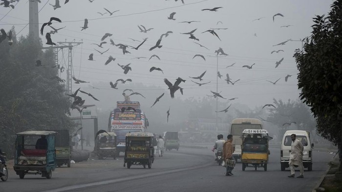 A cyclist crosses a road as smog envelopes the area of Lahore, Pakistan, Thursday, Nov. 14, 2024. (AP Photo/K.M. Chaudary)
