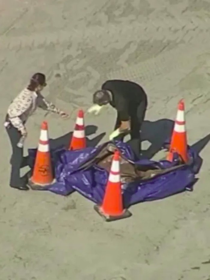 Penemuan kepala manusia di Pantai Florida