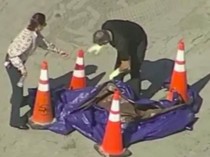 Hii... Sebuah Kepala Manusia Terdampar di Pantai Florida