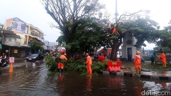 Petugas BPBD saat melakukan evakuasi pohon tumbang di Dadaha Kota Tasikmalaya.