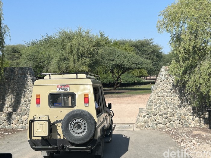 Pulau Sir Bani Yas, Abu Dhabi, UEA